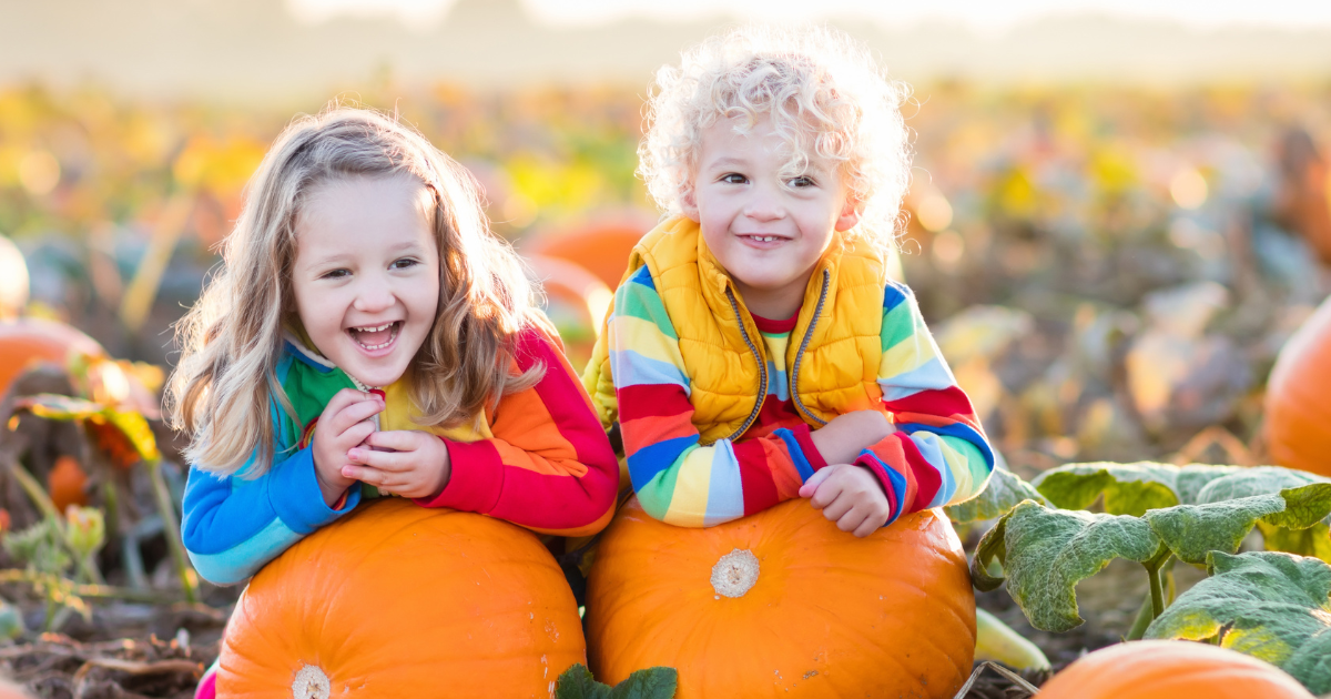 Kids at a pumpkinfarm