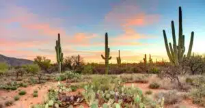 A sunset over scenic Arizona.